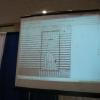 Image: Projection of our 3x4 mm arena on the screen
